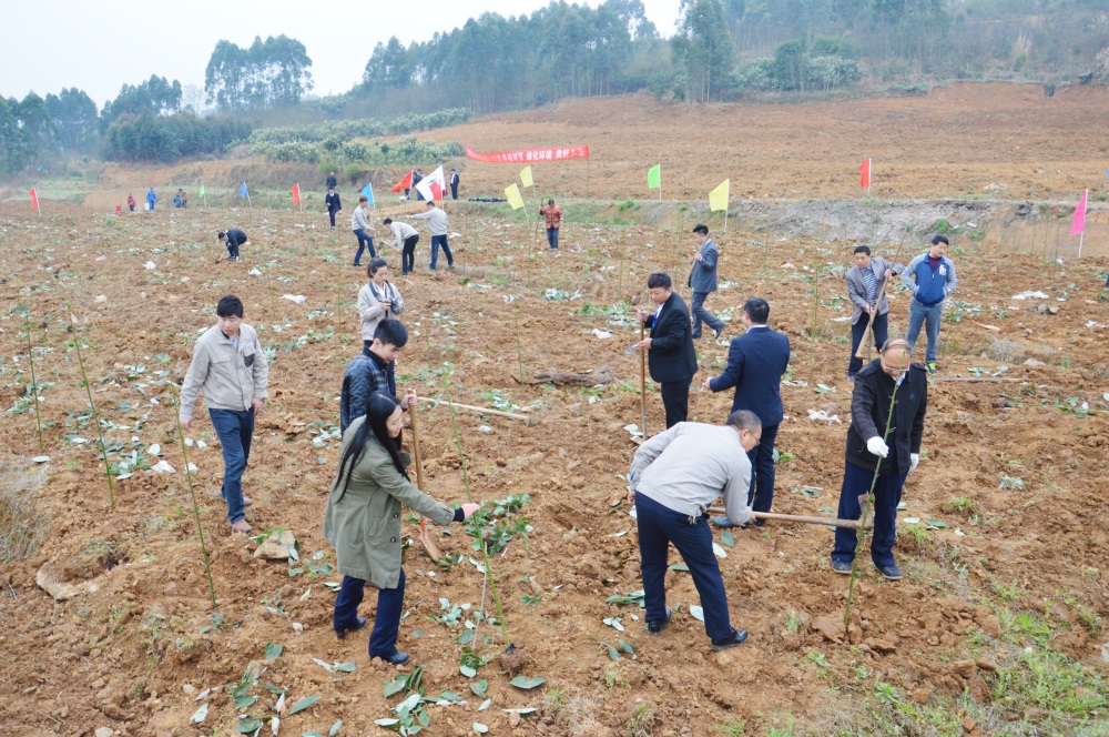 2016年3月港澳免费资料大全开展植树活动